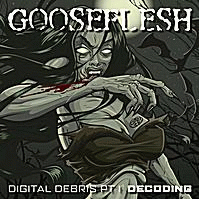 Gooseflesh : Digital Debris, Part I - Decoding